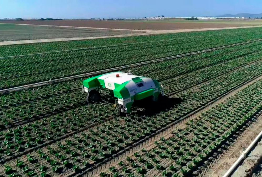 Плюсы роботов для прополки для сельского хозяйства